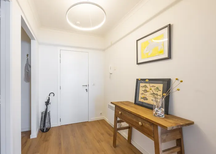 Dreaming 173 אוסטנדה